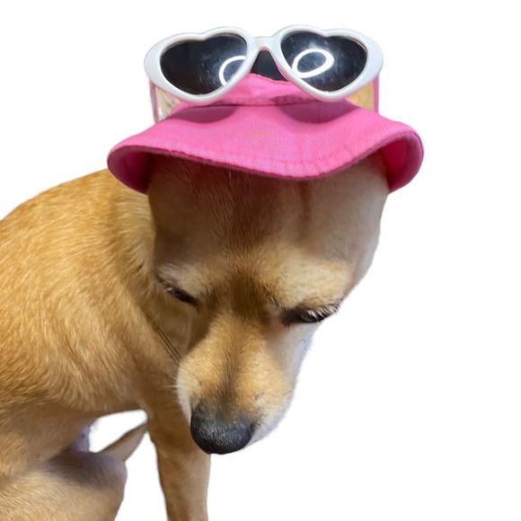 Dog Visor Hat & Sunglasses - Picture 3 of 9